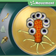Illustration for article titled EA Announces SimCity and The Sims 3 for the iPhone: Spore Coming on September 7th